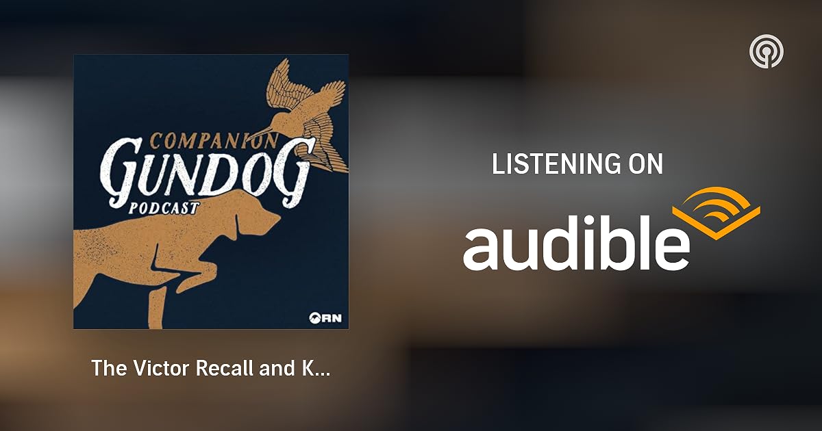 The Victor Recall and Kibble Talk With Emily Shirey Companion Gundog